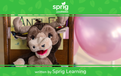 Sprig Learning Yearly Review [Includes message from CEO]