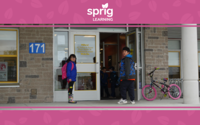 High-Performing School Improvement Plan [With 3 Actual Cases from Early Learning]