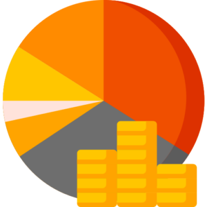 Situation 3- Overly Program-Centric Budget